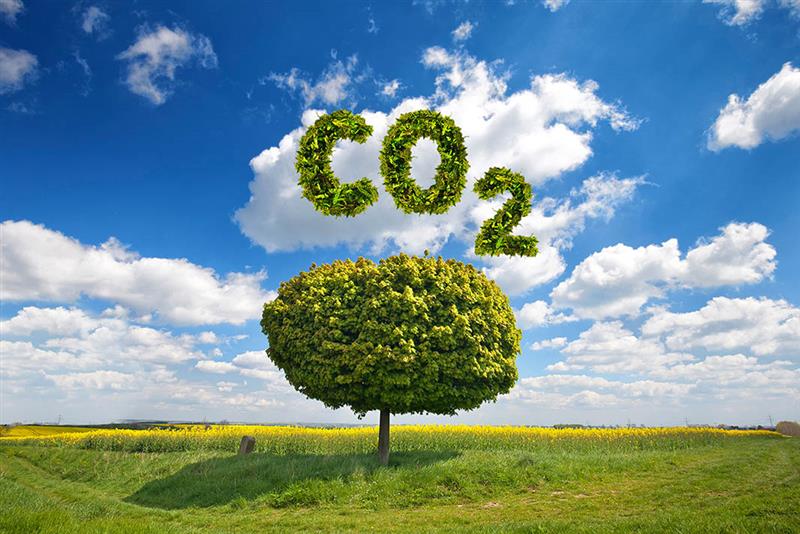 7 Key Benefits of Greenhouse Gas Emission Reduction