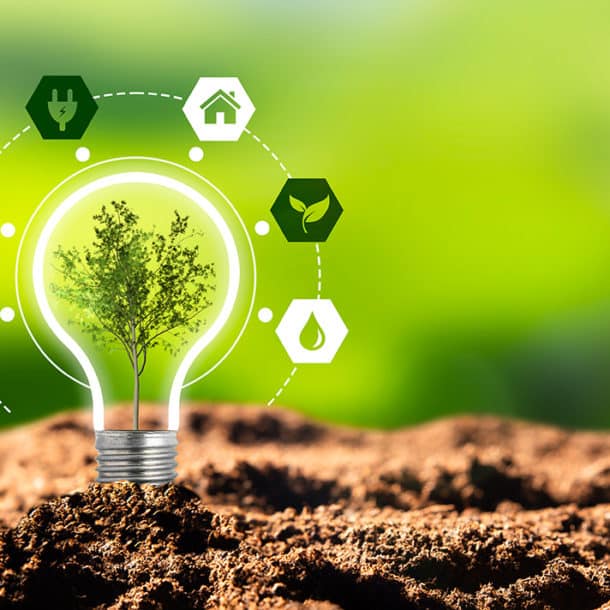 sustainability lightbulb with ESG tree inside